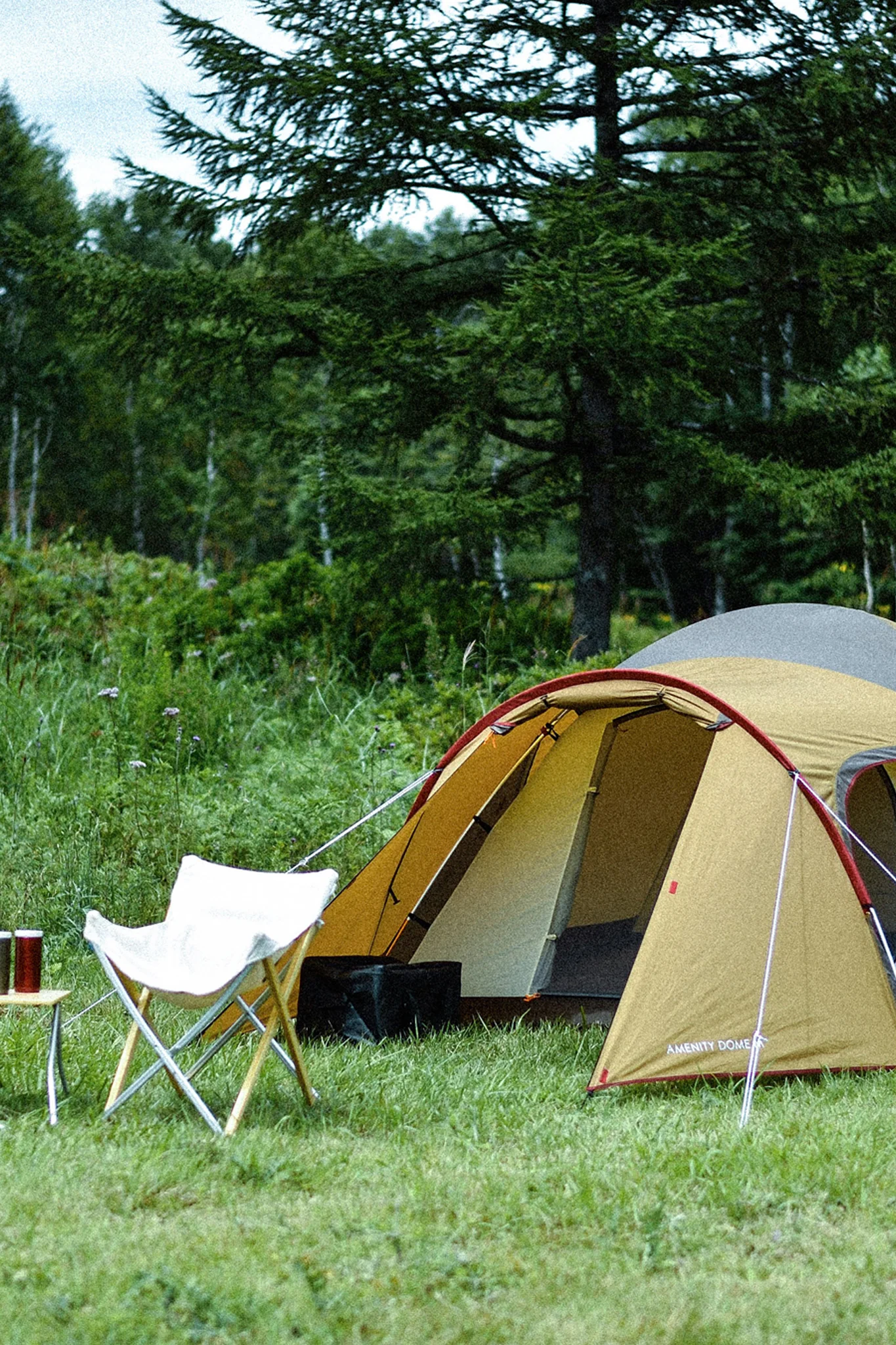 Amenity Dome S - Image 3