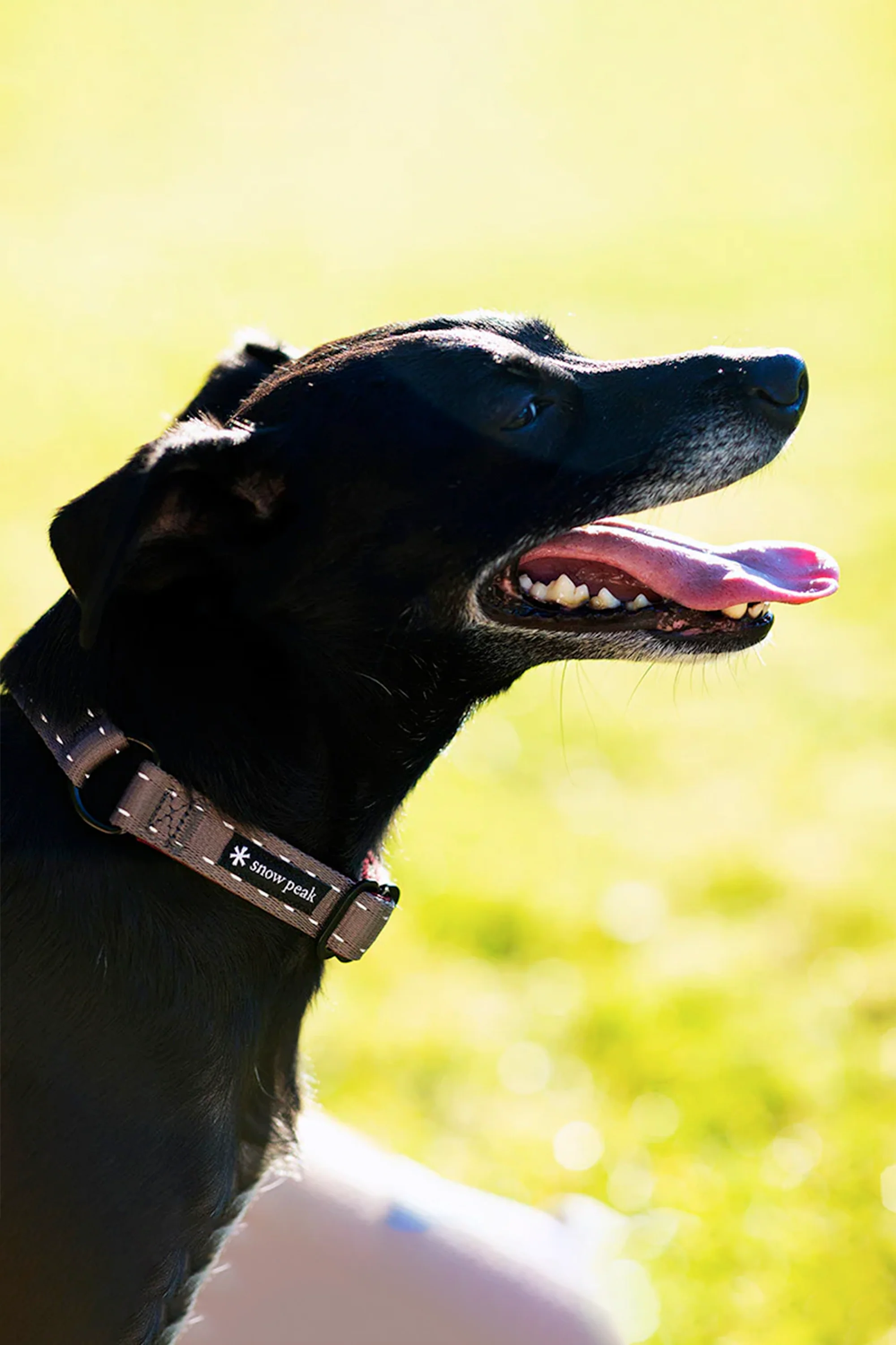 SP Slip Collar L - Image 3